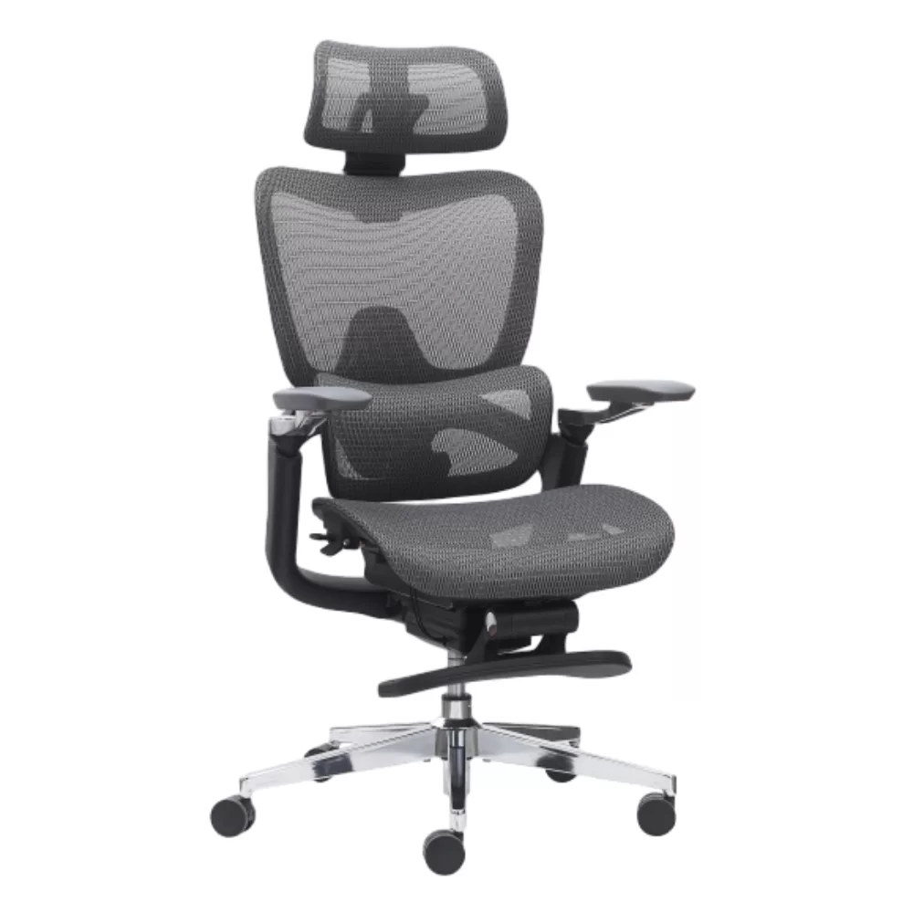Ergonomic Office Chair