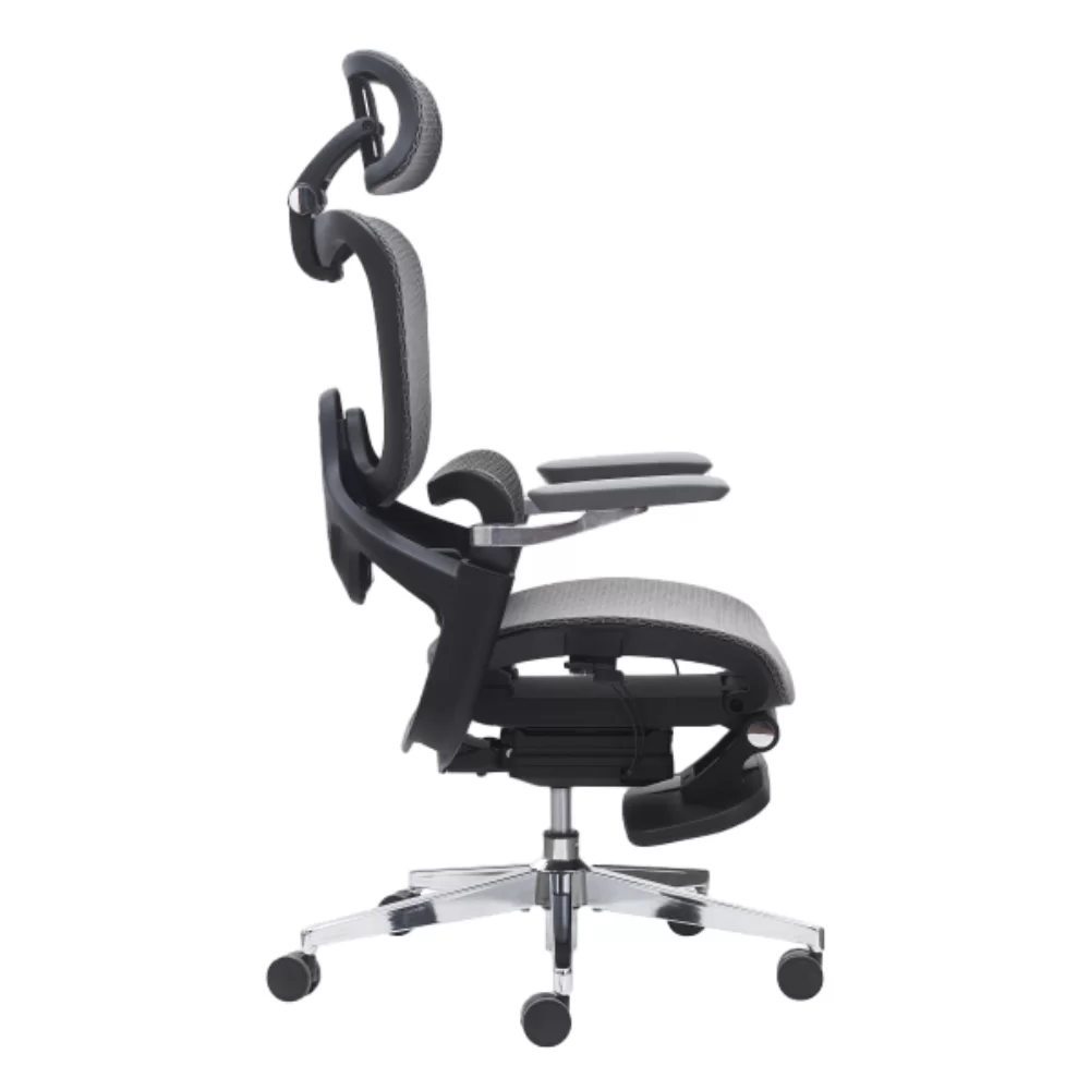 Ergonomic Office Chair