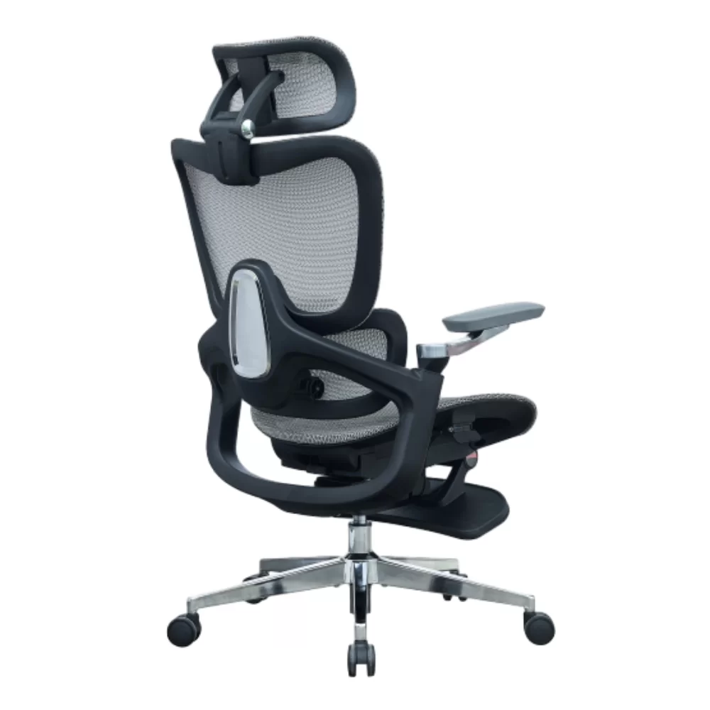Ergonomic Office Chair