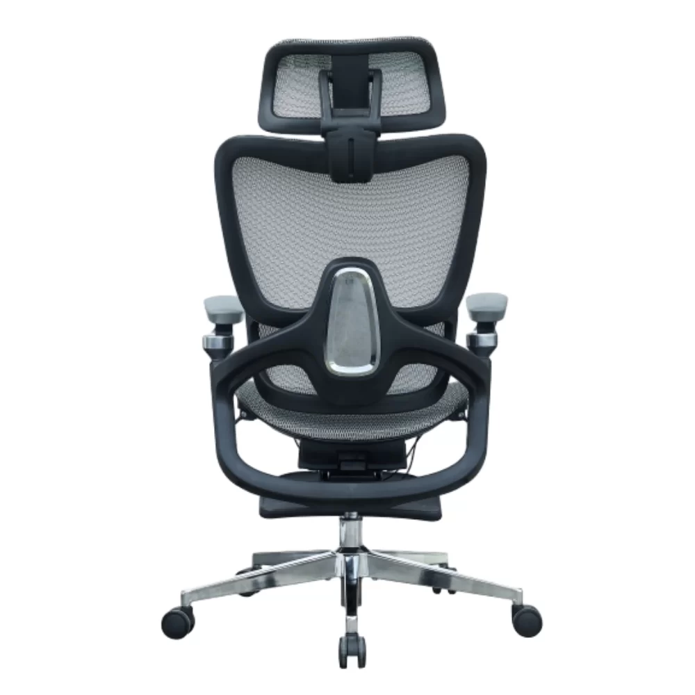 Ergonomic Office Chair