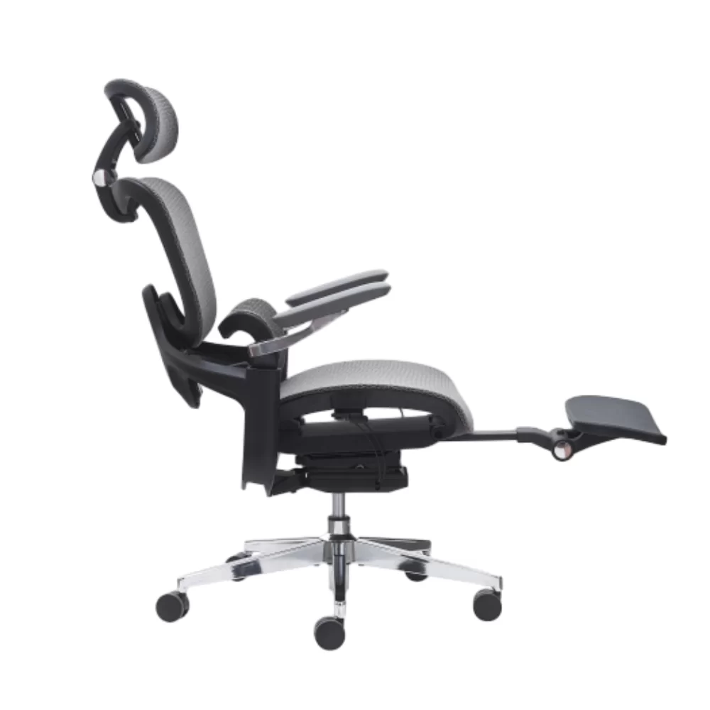 Ergonomic Office Chair