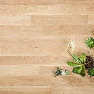 Exploring the Rise of Laminate Chevron Flooring and its Practical Considerations