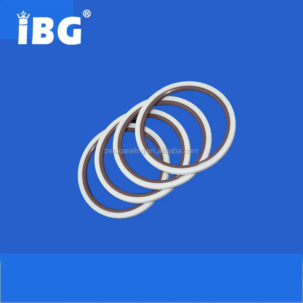 Piston Shaft Rotary Hydraulic Cylinder PTFE+Cu+FKM Glyd Ring Seals Piston Shaft Rotary Hydraulic Cylinder PTFE+Cu+FKM Glyd Ring Seals