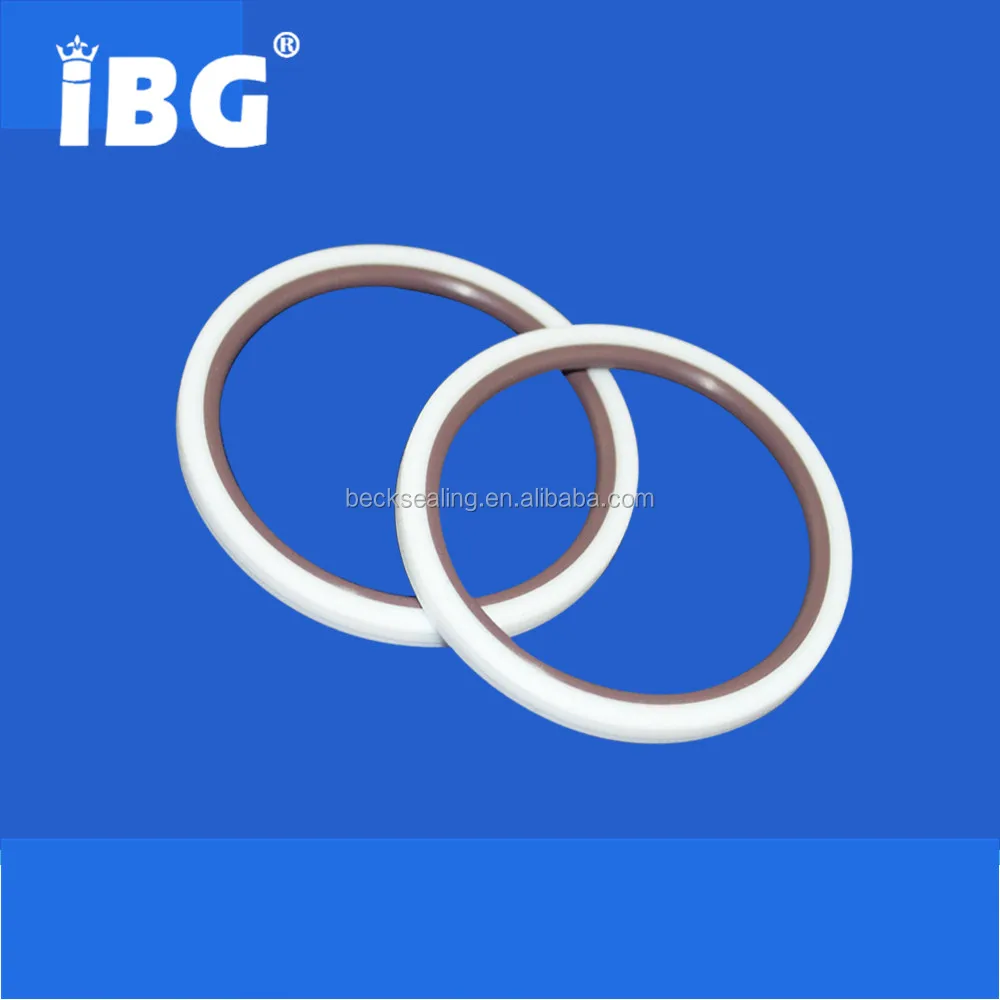 Piston Shaft Rotary Hydraulic Cylinder PTFE+Cu+FKM Glyd Ring Seals Piston Shaft Rotary Hydraulic Cylinder PTFE+Cu+FKM Glyd Ring Seals