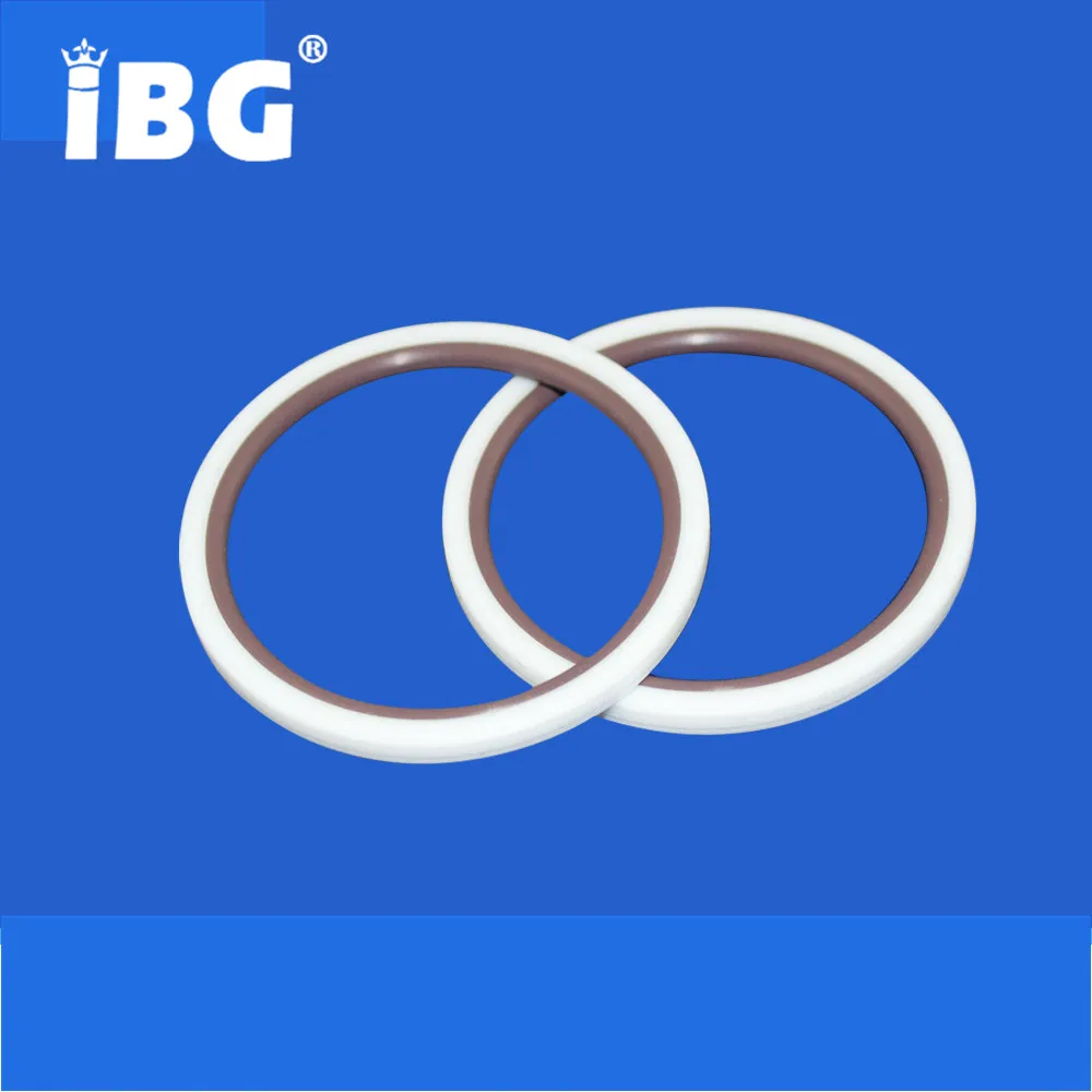 Piston Shaft Rotary Hydraulic Cylinder PTFE+Cu+FKM Glyd Ring Seals Piston Shaft Rotary Hydraulic Cylinder PTFE+Cu+FKM Glyd Ring Seals