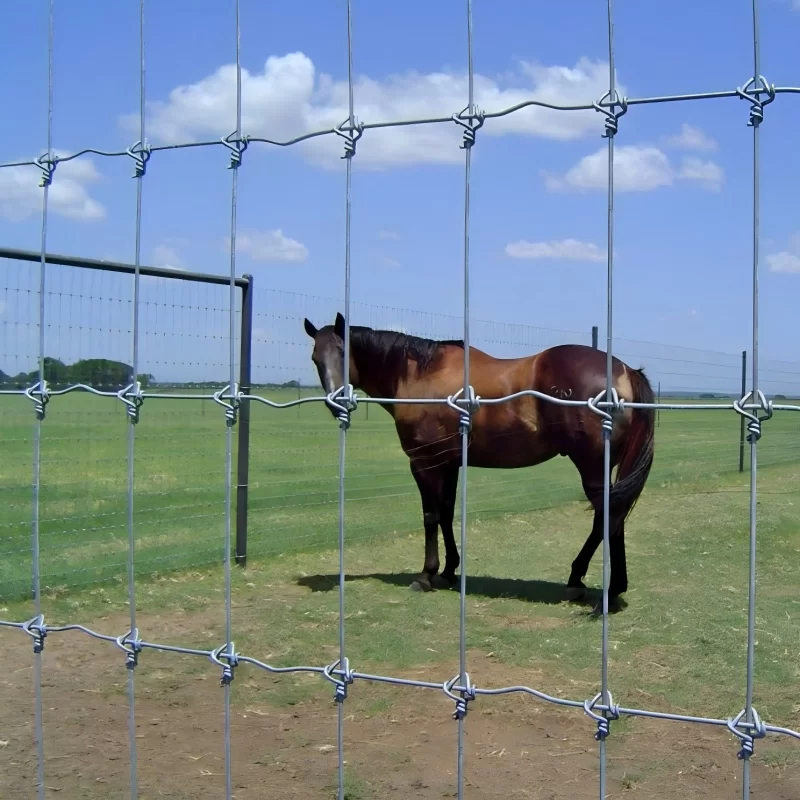 HighTensile Field Fence with TY Posts from China Factory Suppliers HighTensile Field Fence with TY Posts from China Factory Suppliers