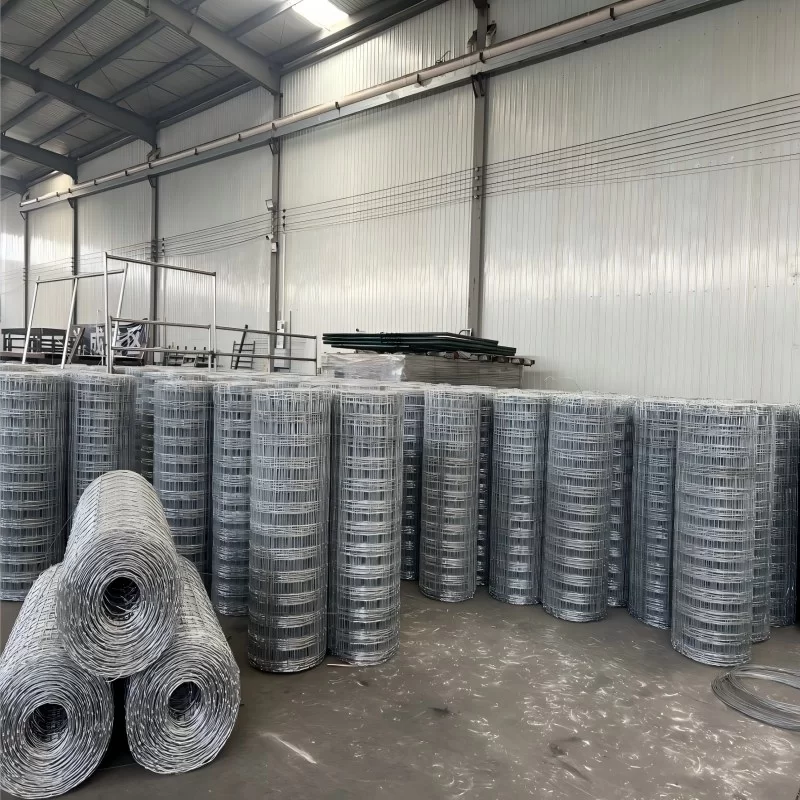 اختبار التطبيق