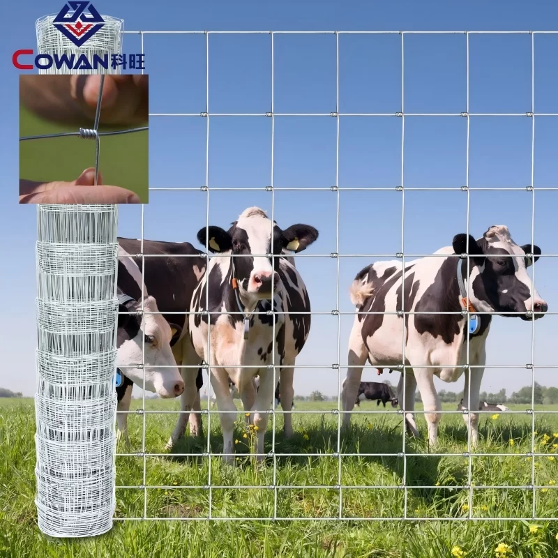 HighTensile Field Fence with TY Posts from China Factory Suppliers HighTensile Field Fence with TY Posts from China Factory Suppliers