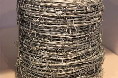 gal-barbed-wire