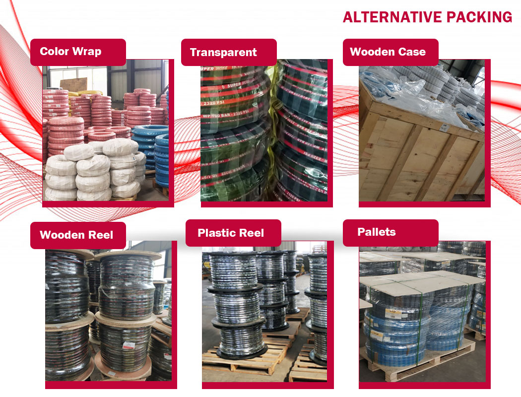 HYDRAULIC HOSE 1SN-5