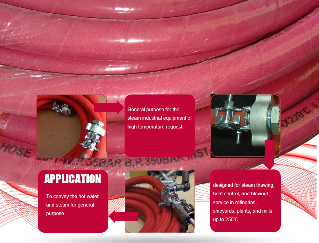 STEAM HOSE -4