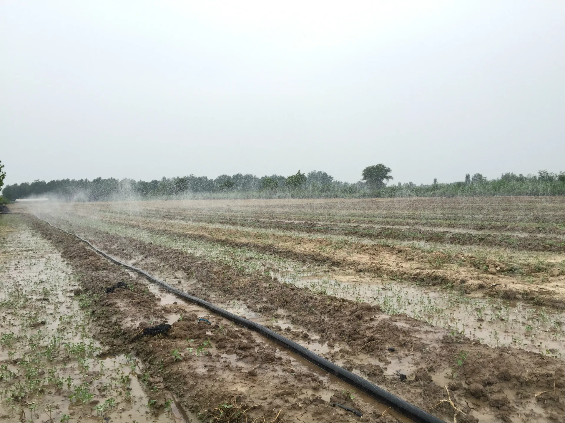 Types of Water Hoses Used for Irrigation