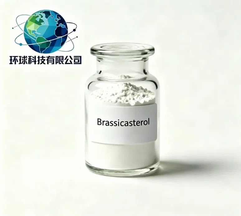 Brassicasterol CAS NO.474-67-9