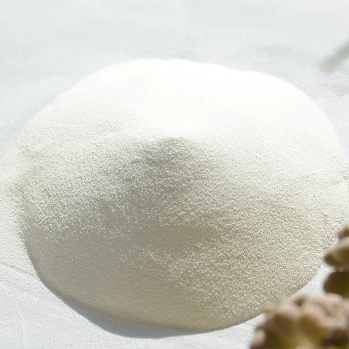 Hydroxypropyl Methylcellulose HPMC