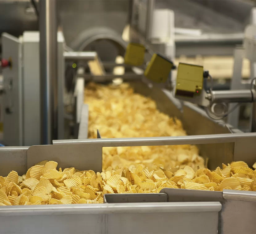 Hydroxypropyl Methylcellulose (HPMC) in the Modern Food Industry