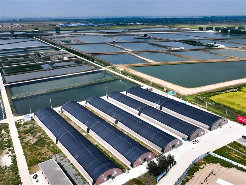 South Asian Agriculture and Aquaculture – Power Sources