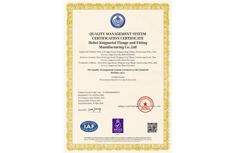 Forging Excellence Over Two Decades, Scaling New Heights With Global Standards