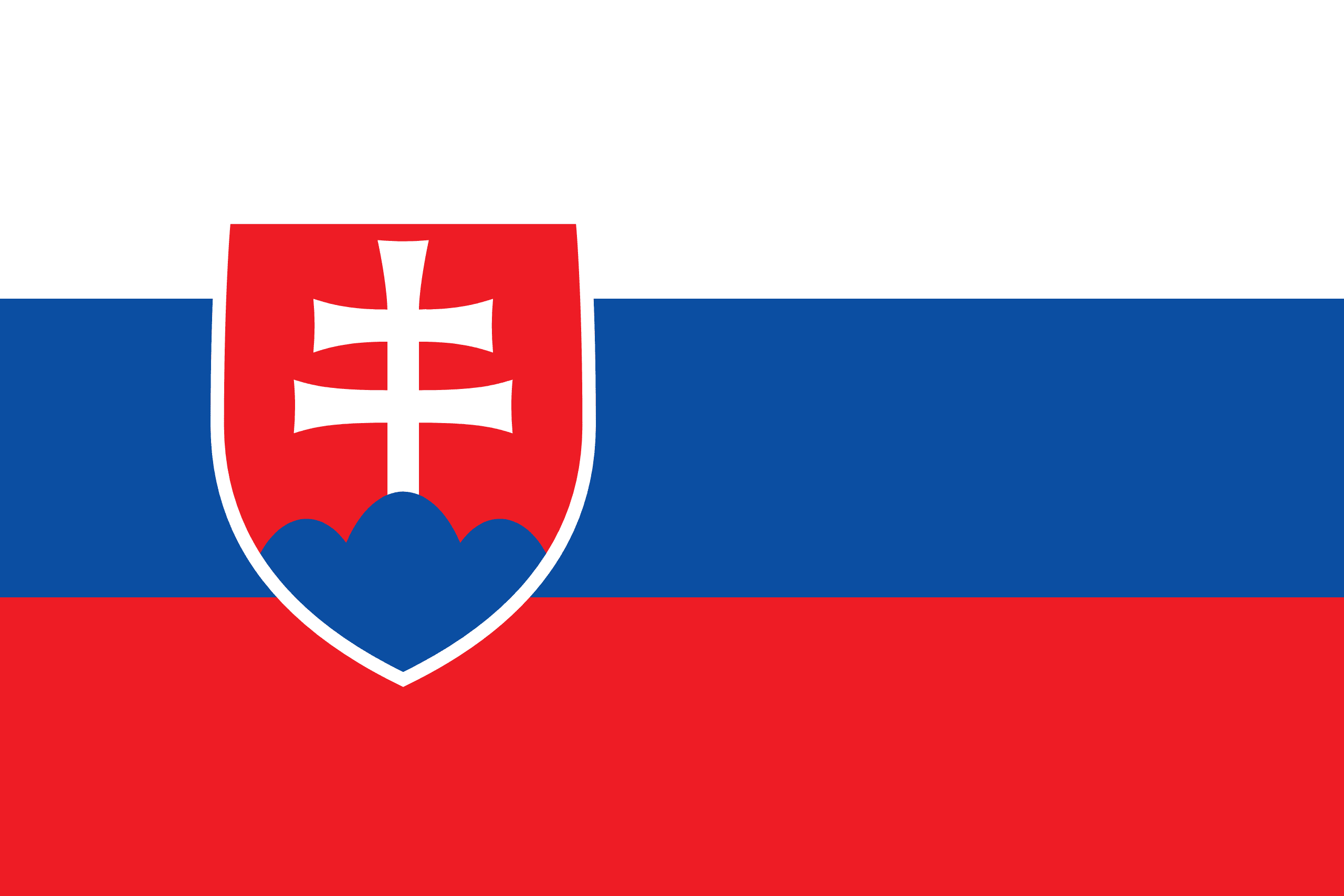 Premium car engine oil filter Solutions for Slovakia’s Automotive Sector