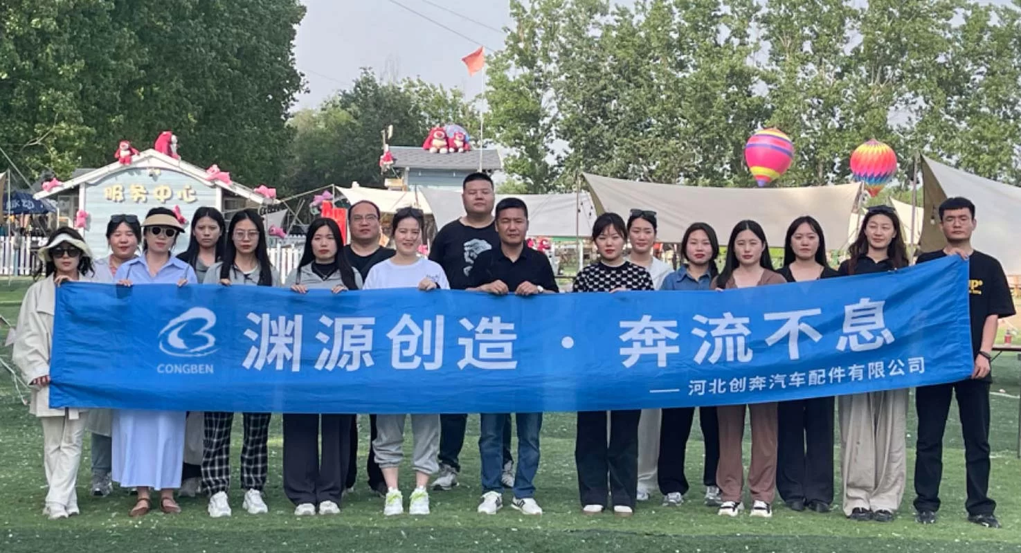 Direct Manufacturer Auto Filter