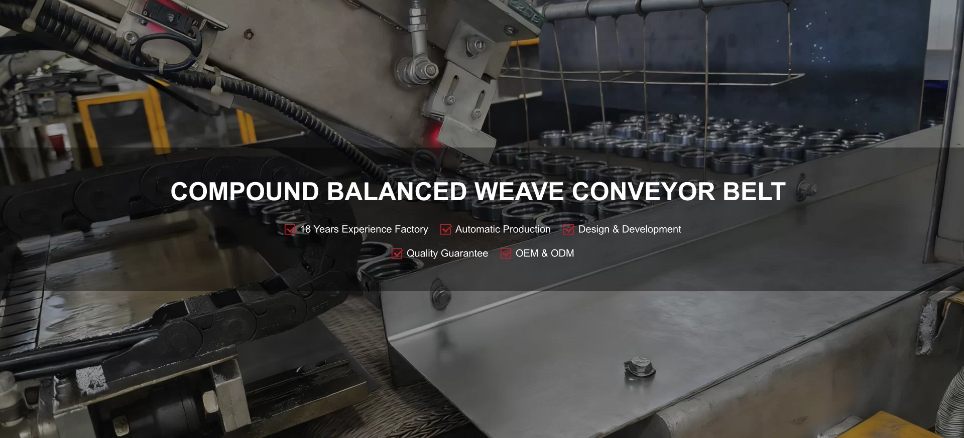 Corrosion Resistant Mesh belt