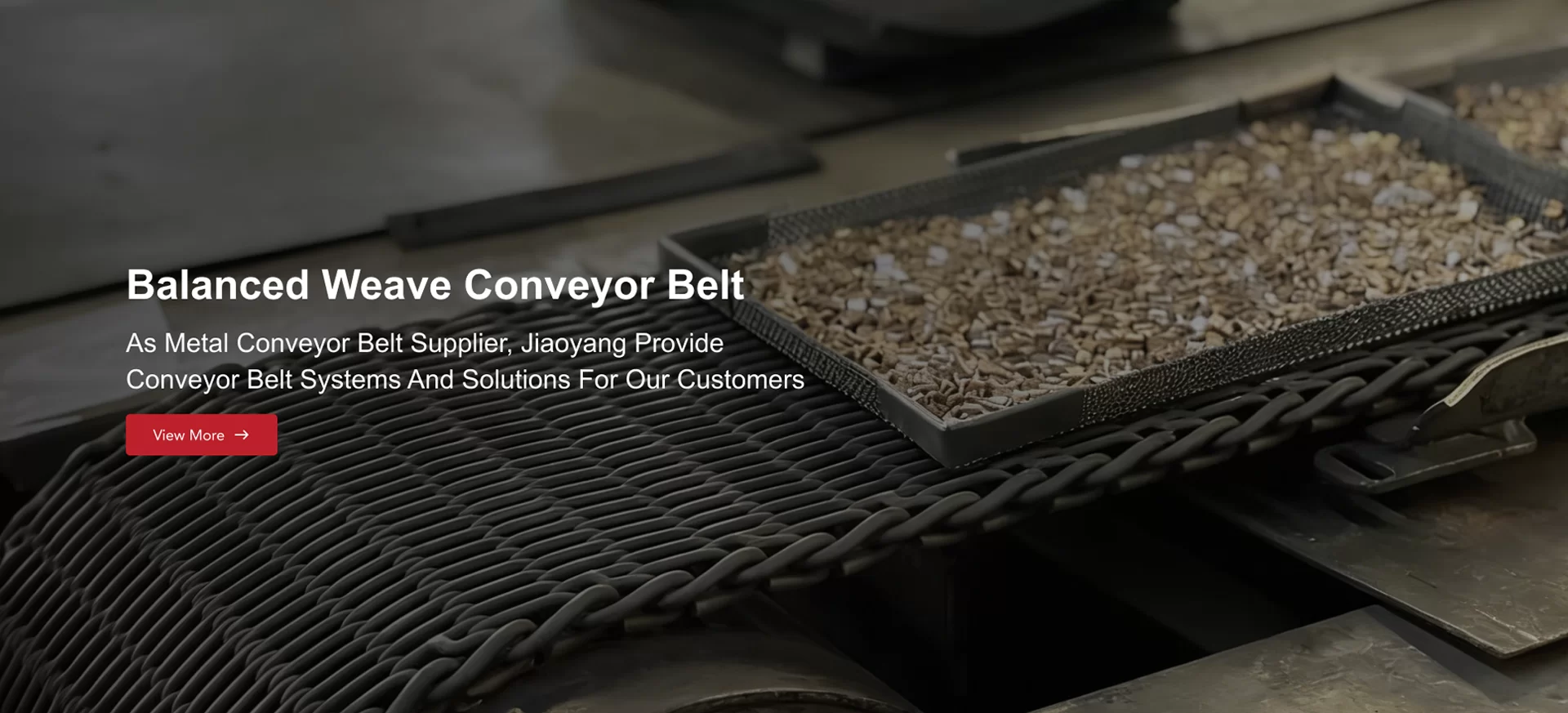 Stainless Steel Wire Mesh Belt