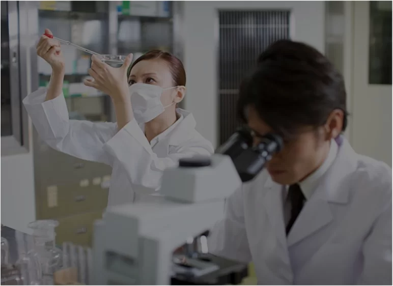 glass food storage containers microwave safe