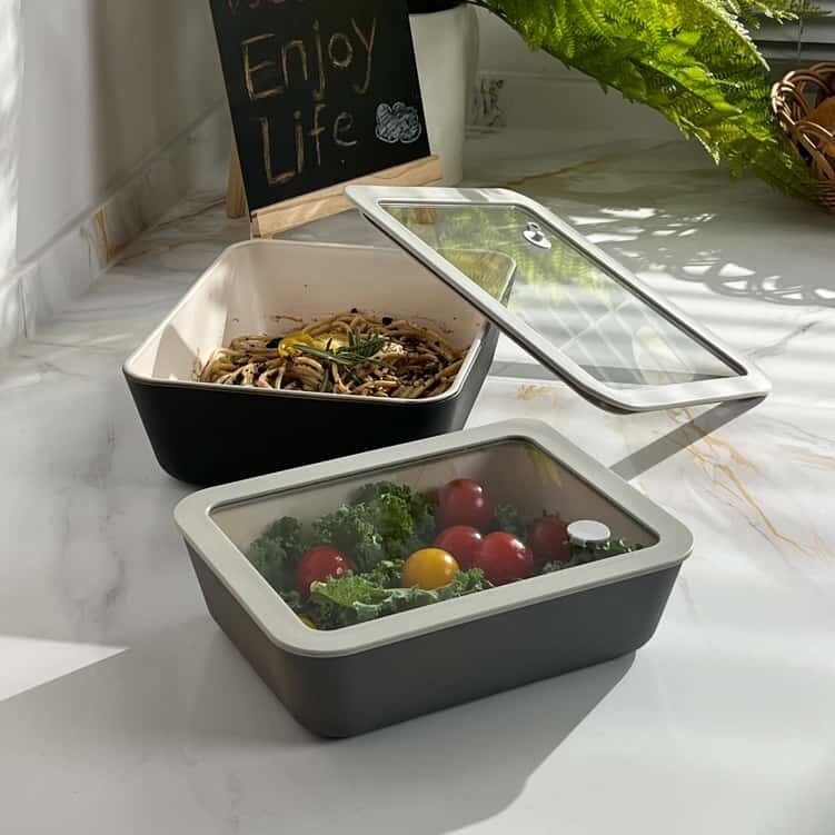 Non-stick Coating Borosilicate Glass Food Container with Airtight Glass Lid