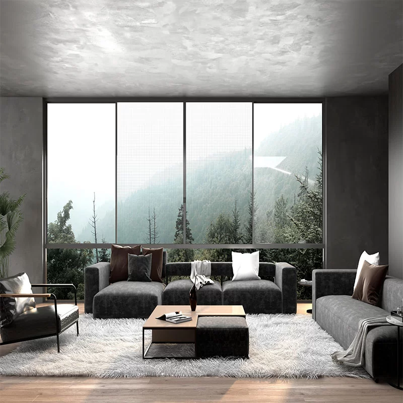 Series 116 Sliding Window