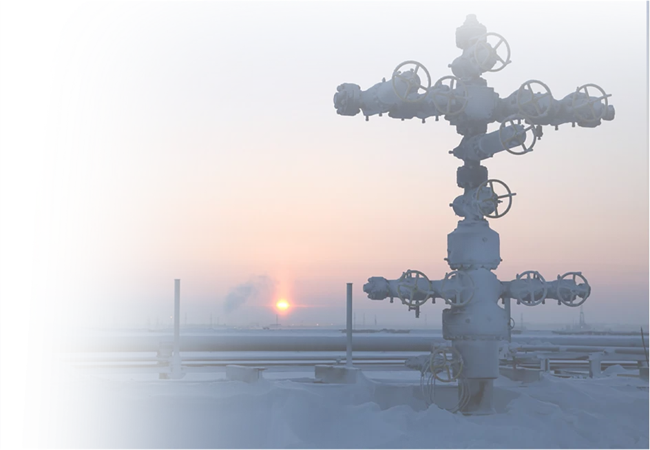 Panattoni Offers<br>End-to-End News