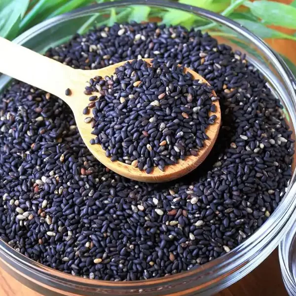 Sesame Cleaning Processing Plant Specifically Designed For Nigeria – High Efficiency And Export Quality.