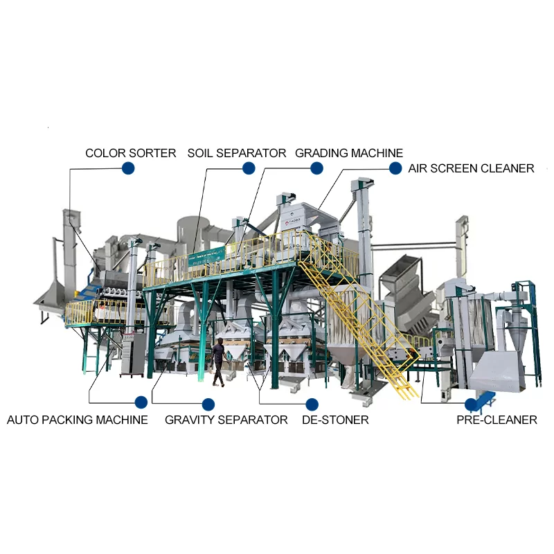 10TPH Sesame Cleaning Plant & Sesame Processing Plant