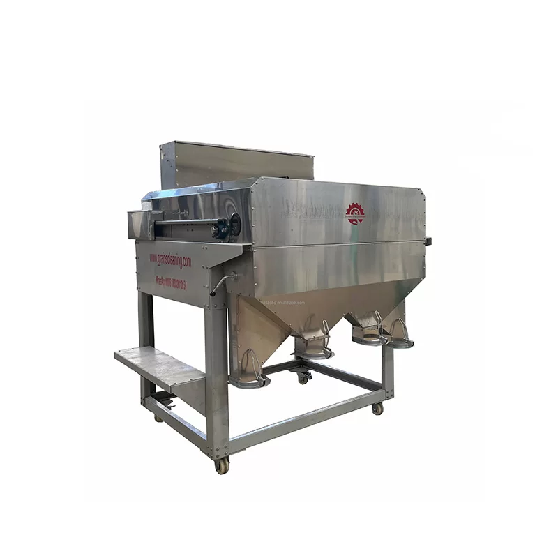 Seed Cleaning Line & Seed Processing Plant