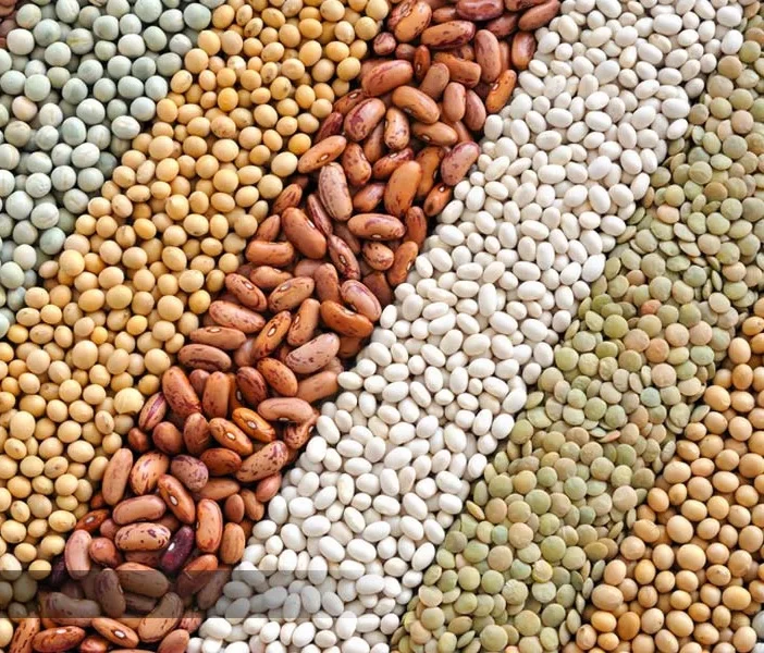 Double Air Screen Cleaner for Export to Poland – Ideal for Beans and Grains