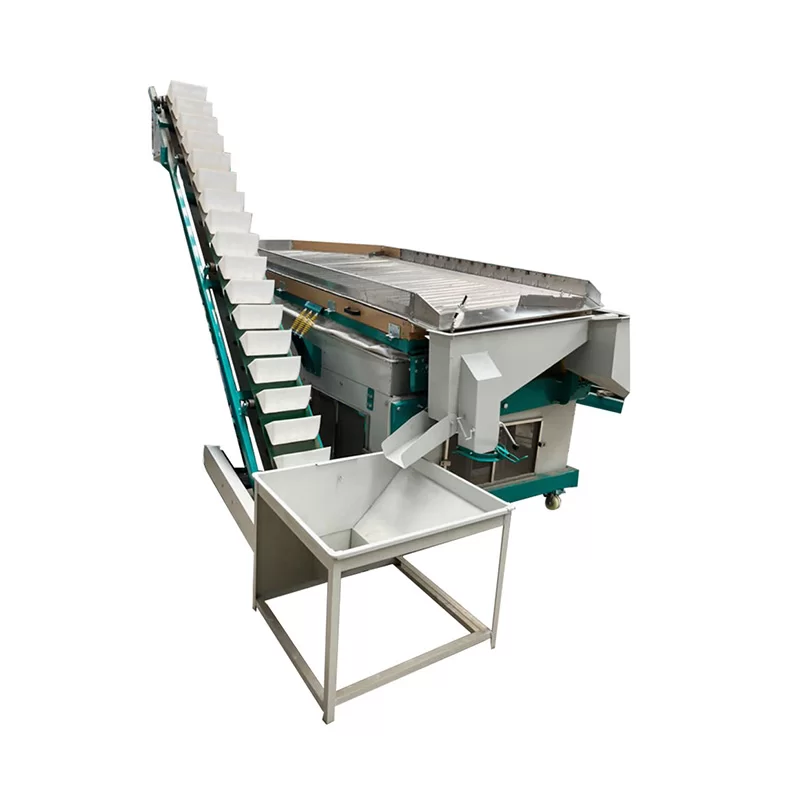 Seed Cleaning Line & Seed Processing Plant