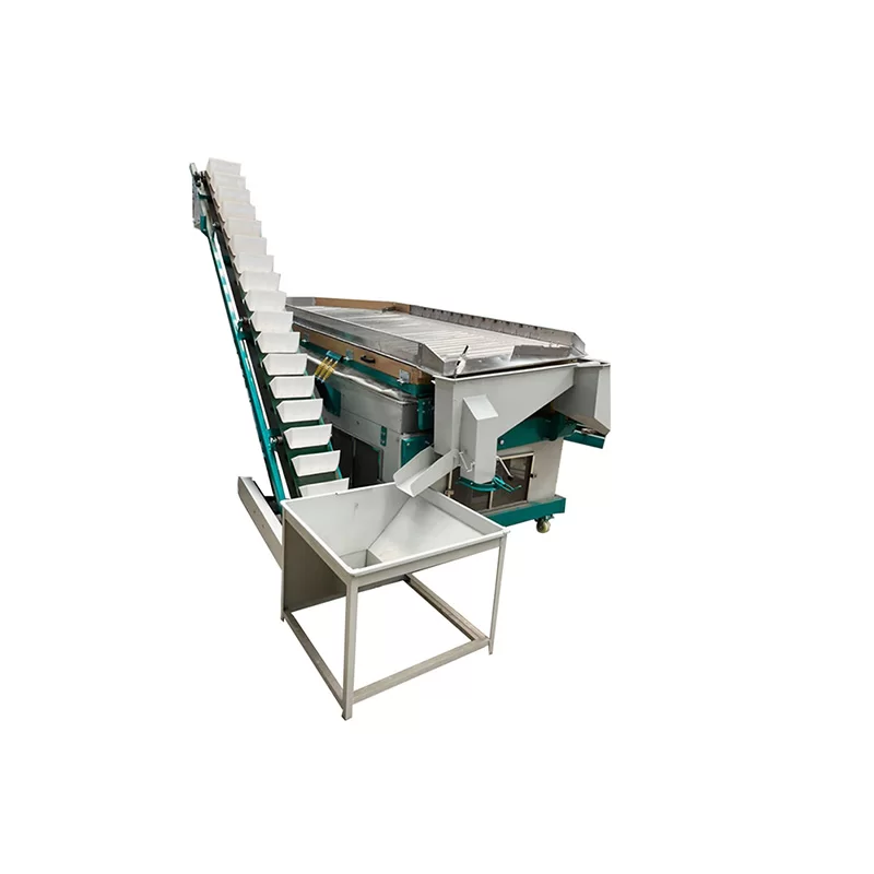 5TPH Sesame Cleaning Plant & Sesame Processing Plant