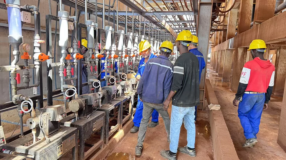 Live Video ENFI Mining Flotation Plant
