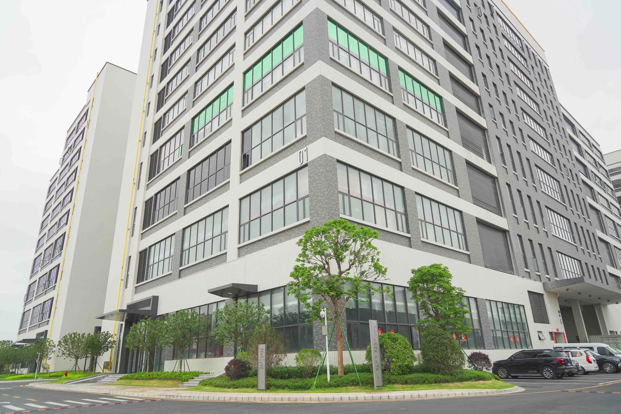 Lactic Acid Body Lotion