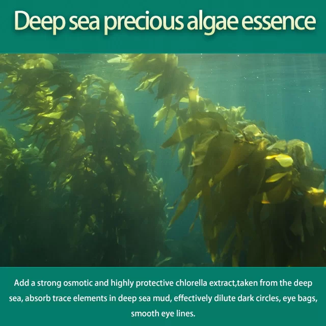 Natural Seaweed Eye Mask – Hydrating & Anti-Puffiness for Delicate Eye Area