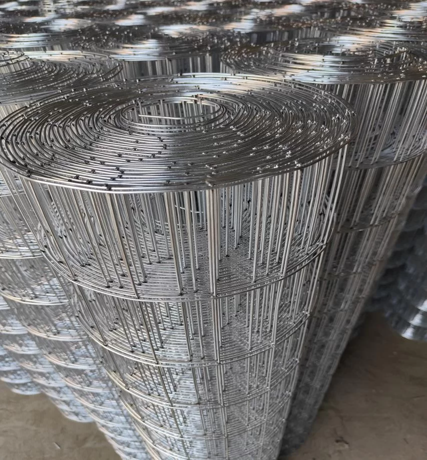 Welded Wire Mesh For Sale